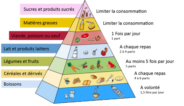 Pyramide Alimentaire - Nouvelle Version: Les Flamands Sont-ils Tombés ...